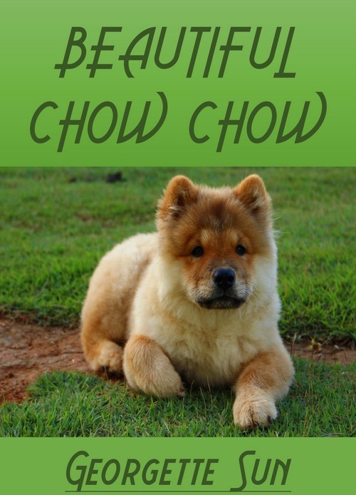 Product picture Beautiful Chow Chow 